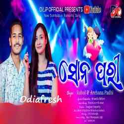 Udi gala discount udajahaja sambalpuri song